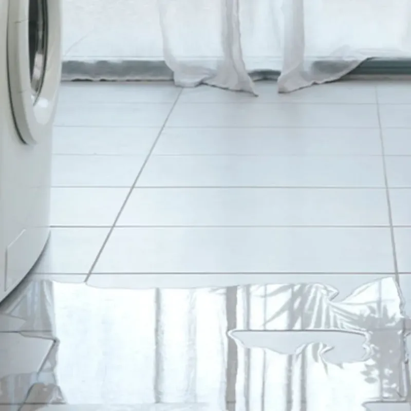 Appliance Leak Cleanup in Boca Raton, FL